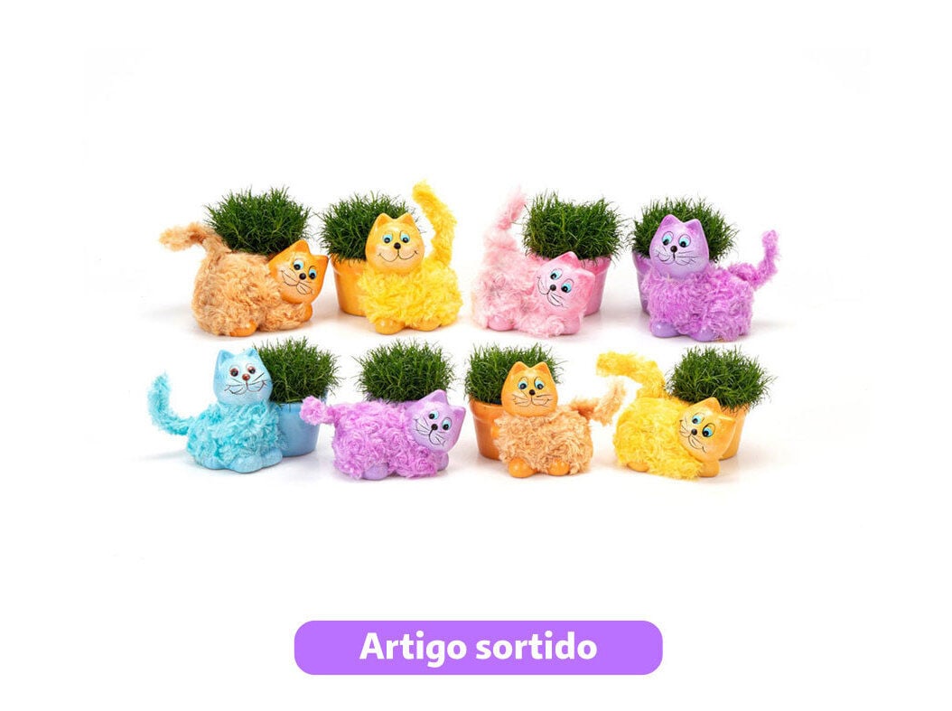 MINI SAGINA EM VASO GATO VASO 6 MODELOS SORTIDOS