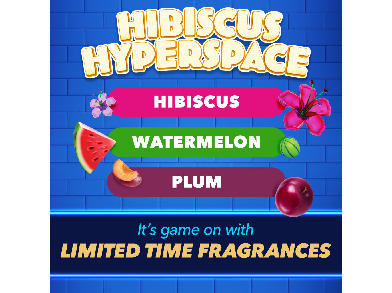 GEL SANIT&Aacute;RIO PATO HIBISCUS 750ML image number 2