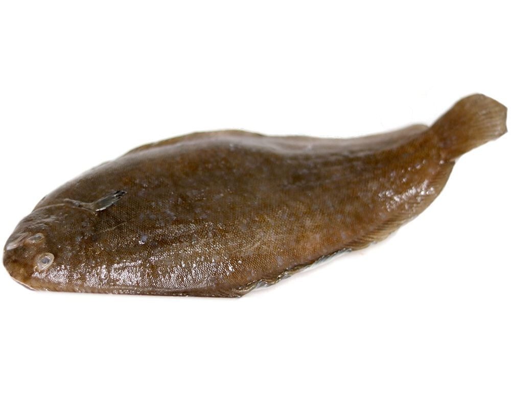 LINGUADO LEG&Iacute;TIMO KG image number 0