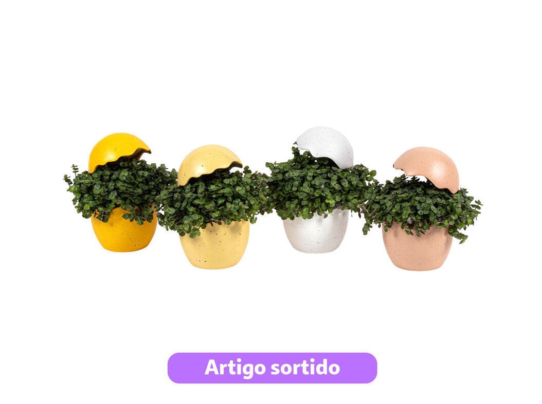 CALLISIA (ERVA-DA-TARTARUGA) DECORA&Ccedil;&Atilde;O PASCOA CER&Acirc;MICA VASO 10.5CM MODELOS SORTIDOS