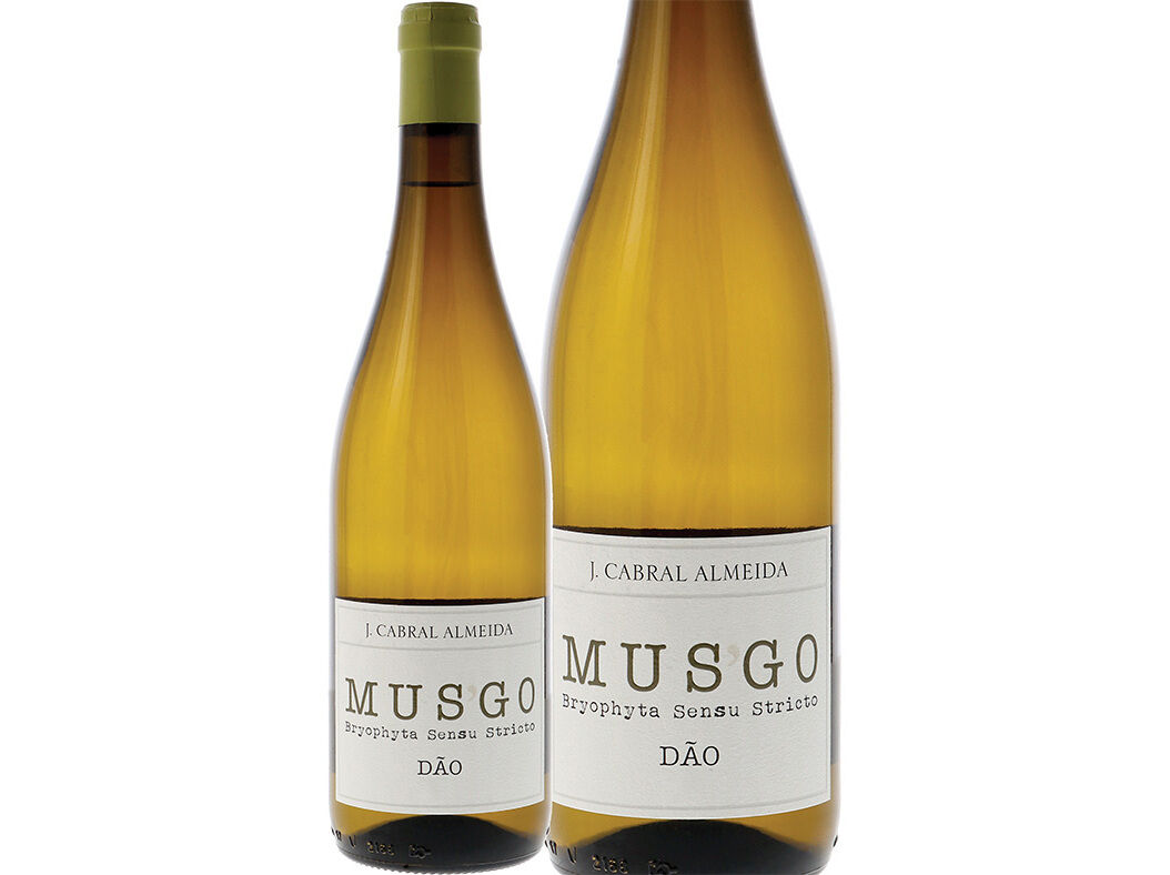 VINHO BRANCO MUSGO D&Atilde;O 0.75 L image number 0