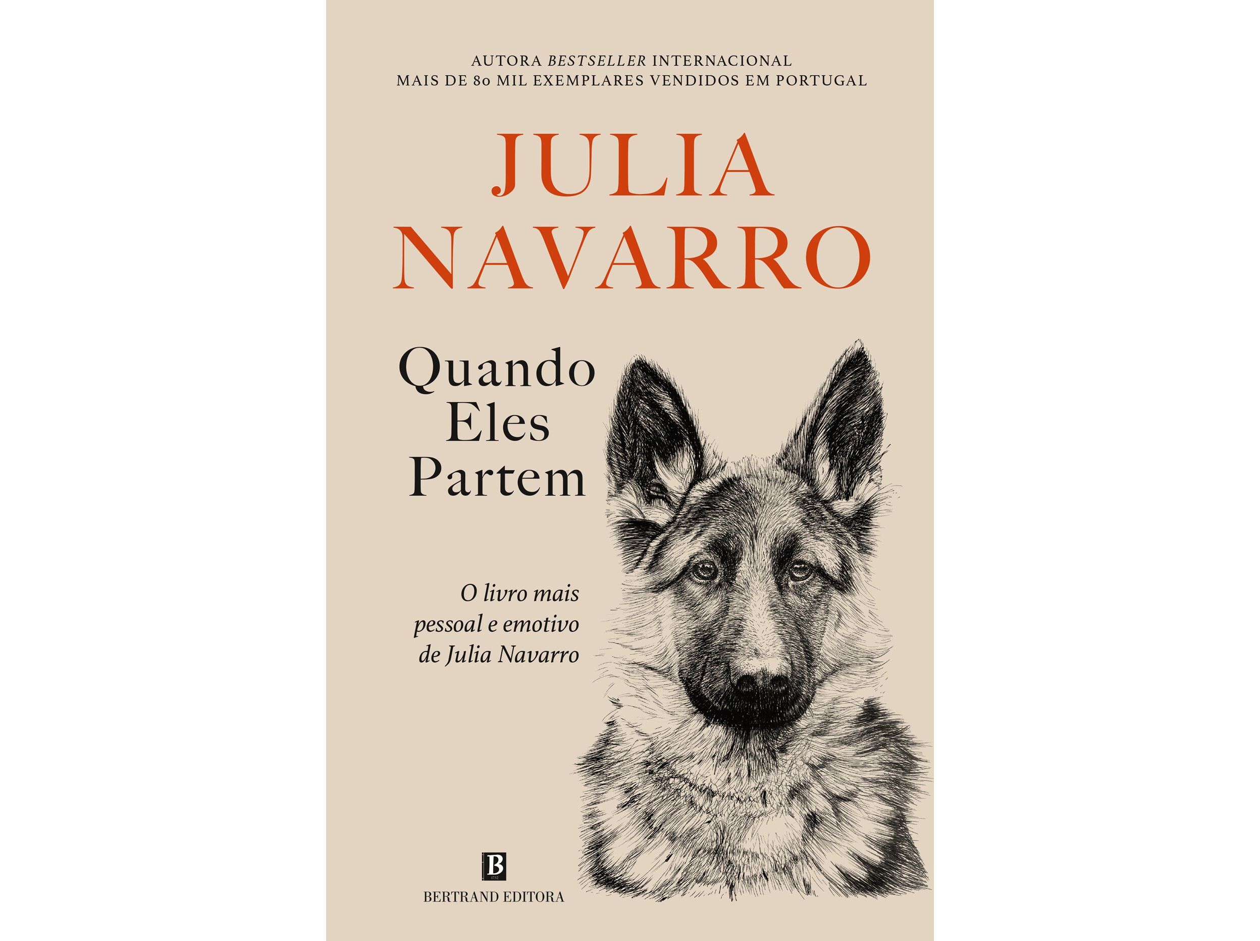 LIVRO QUANDO ELES PARTEM DE JULIA NAVARRO image number 0