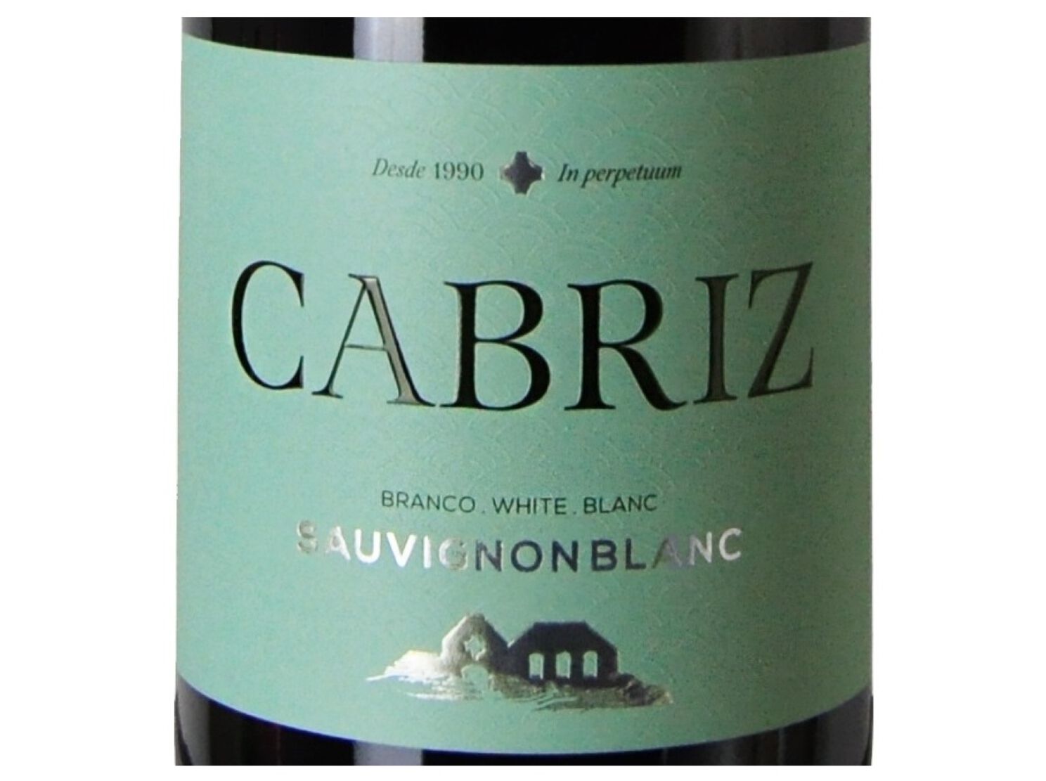 VINHO BRANCO CABRIZ SAUVIGNON BLANC D&Atilde;O 0.75L image number 1