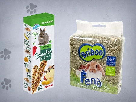 O Mundo dos Roedores