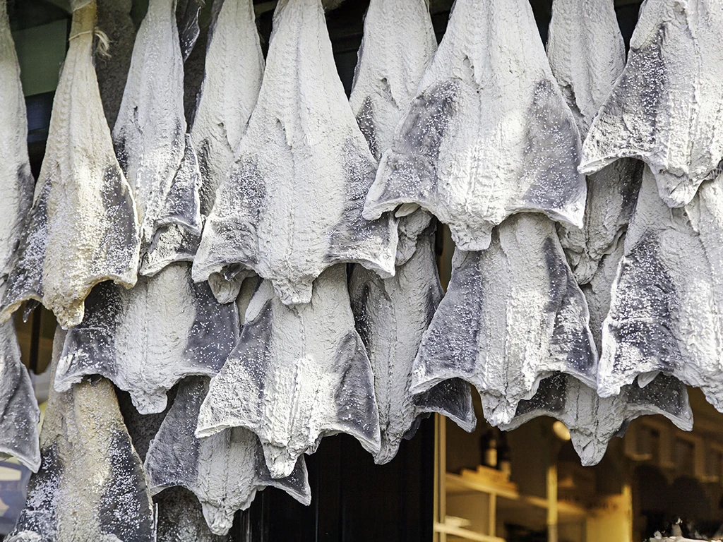 Curado segundo as melhores técnicas em Portugal