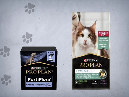Promoções O meu Pet