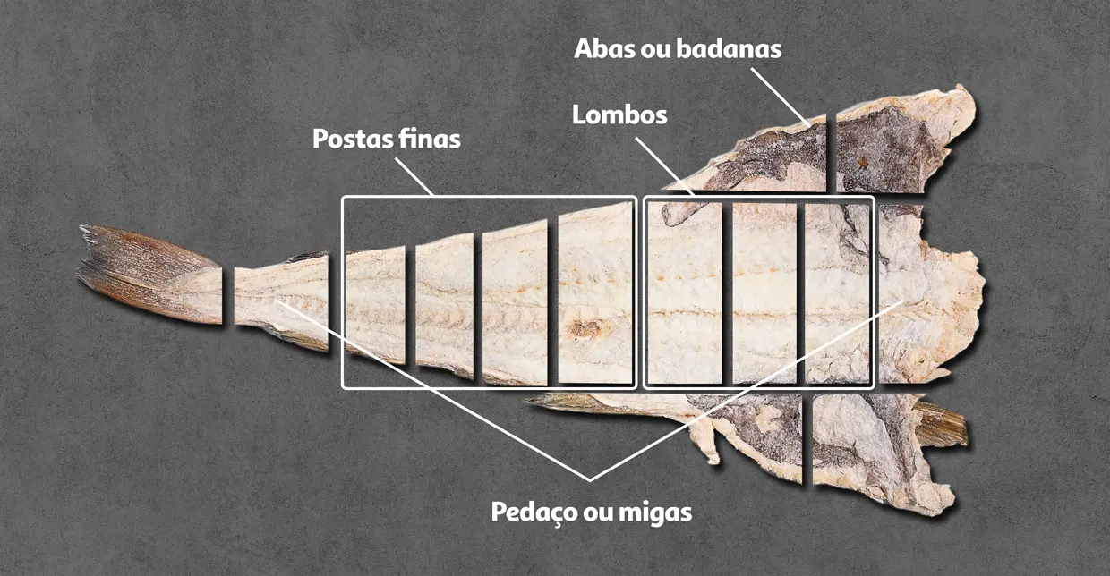 Qual o tamanho ideal e corte mais indicado?