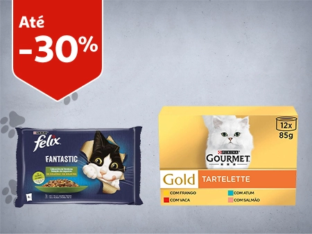 Comida húmida para gato