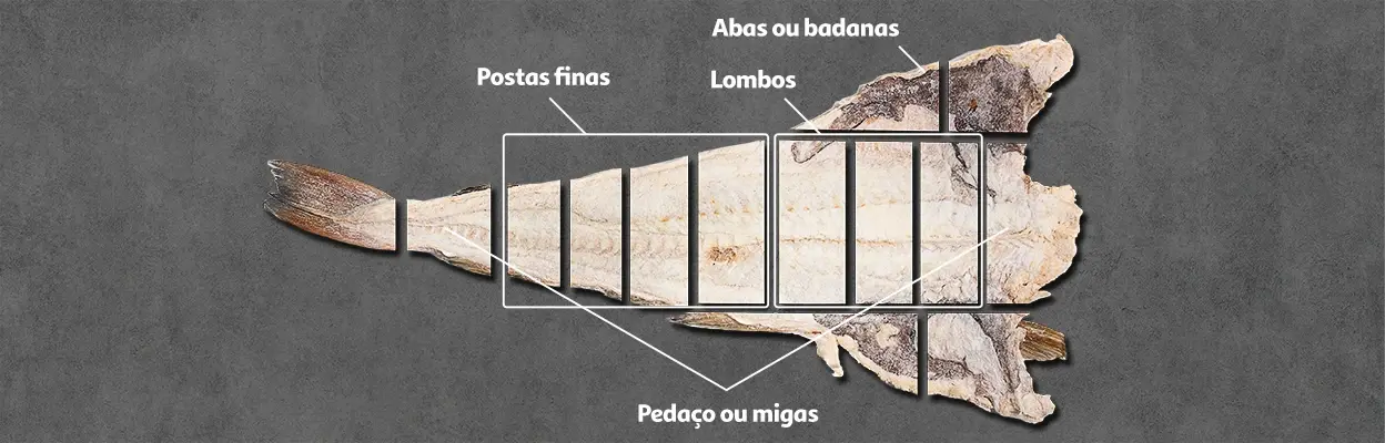 Qual o tamanho ideal e corte mais indicado?