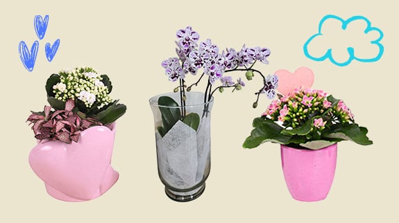 Plantas, decoração e velas