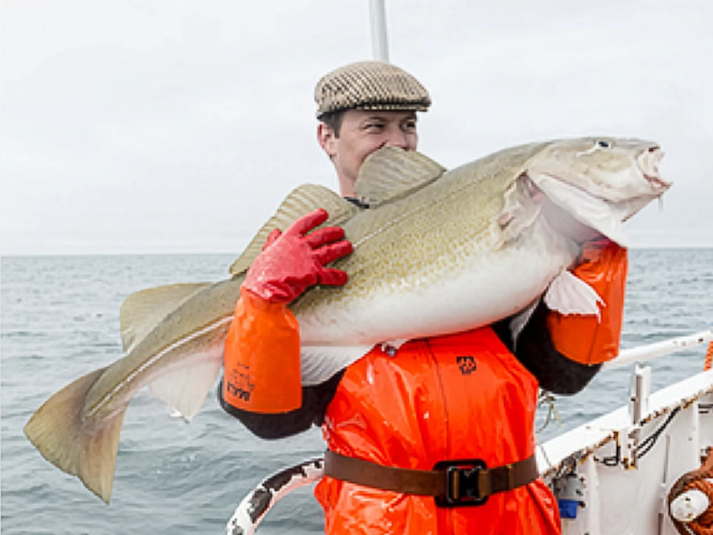 Pescado nos mares da Noruega