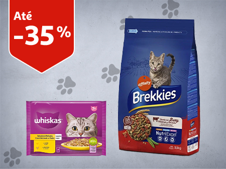 Promoções para Gatos || 05/02 a 11/02