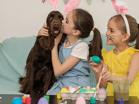 Páscoa pet friendly