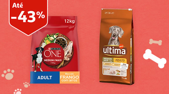 Alimentação Cão