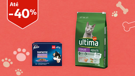 Alimentação Gato