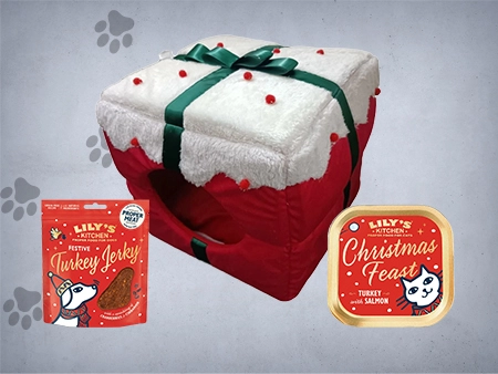 Natal para cão e gato