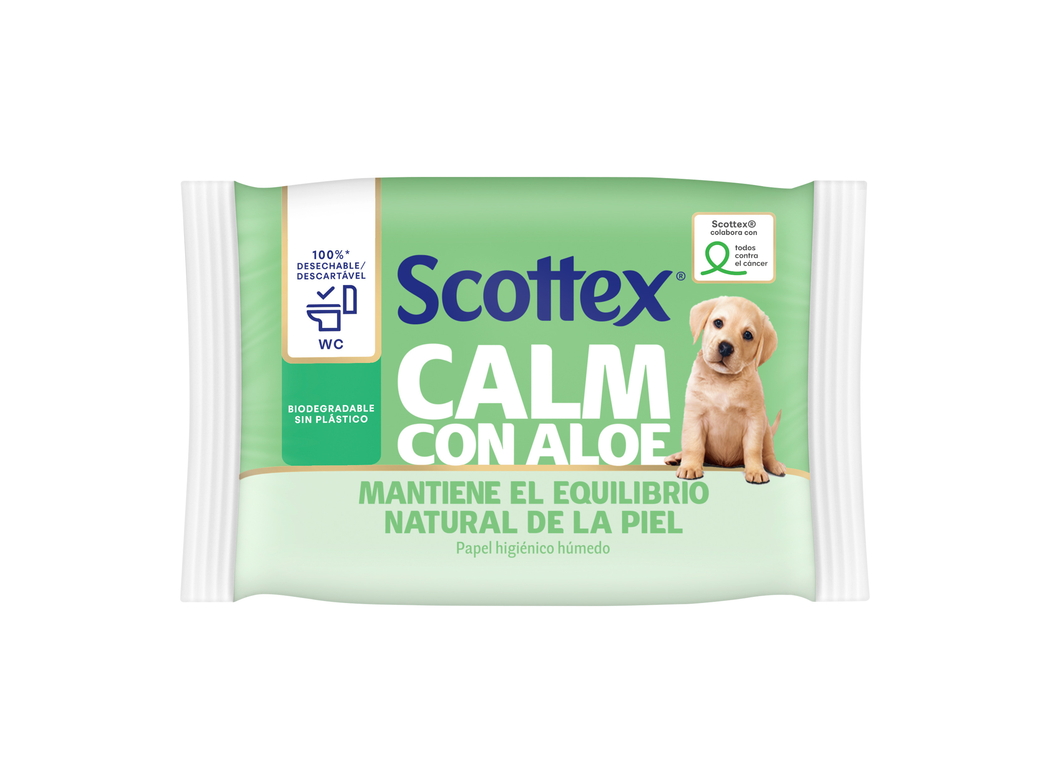Papel higiénico húmido scottex sensitive 66un