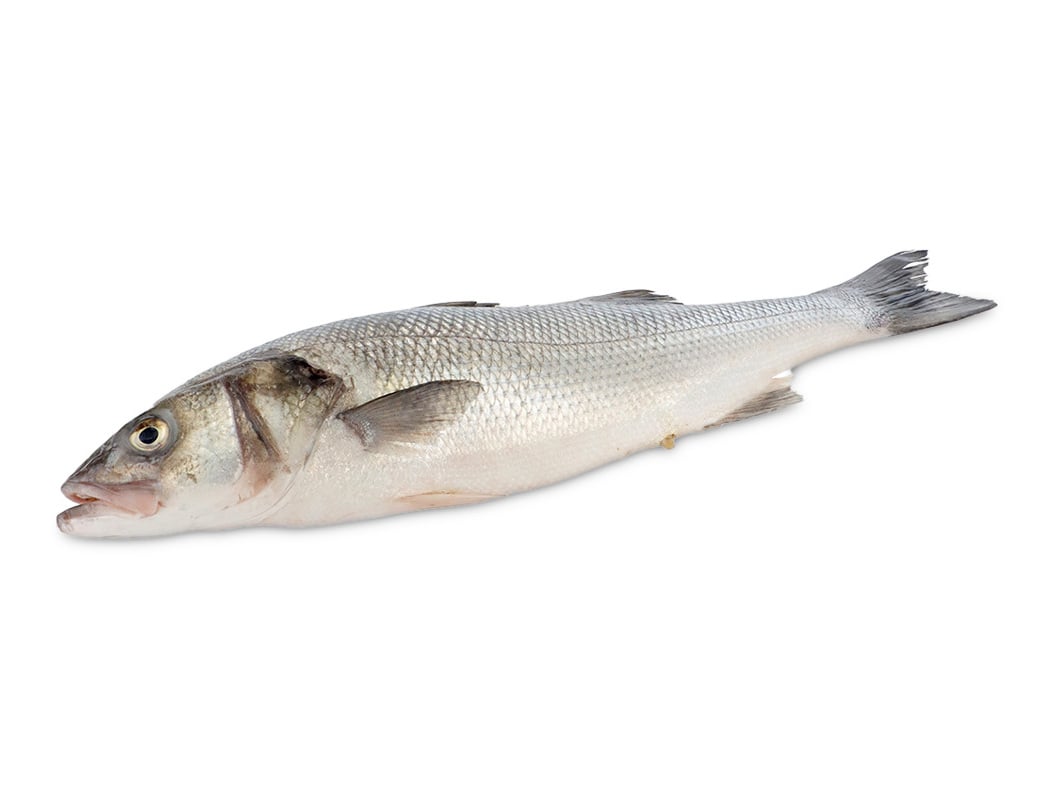 Robalo mar fresco inteiro kg