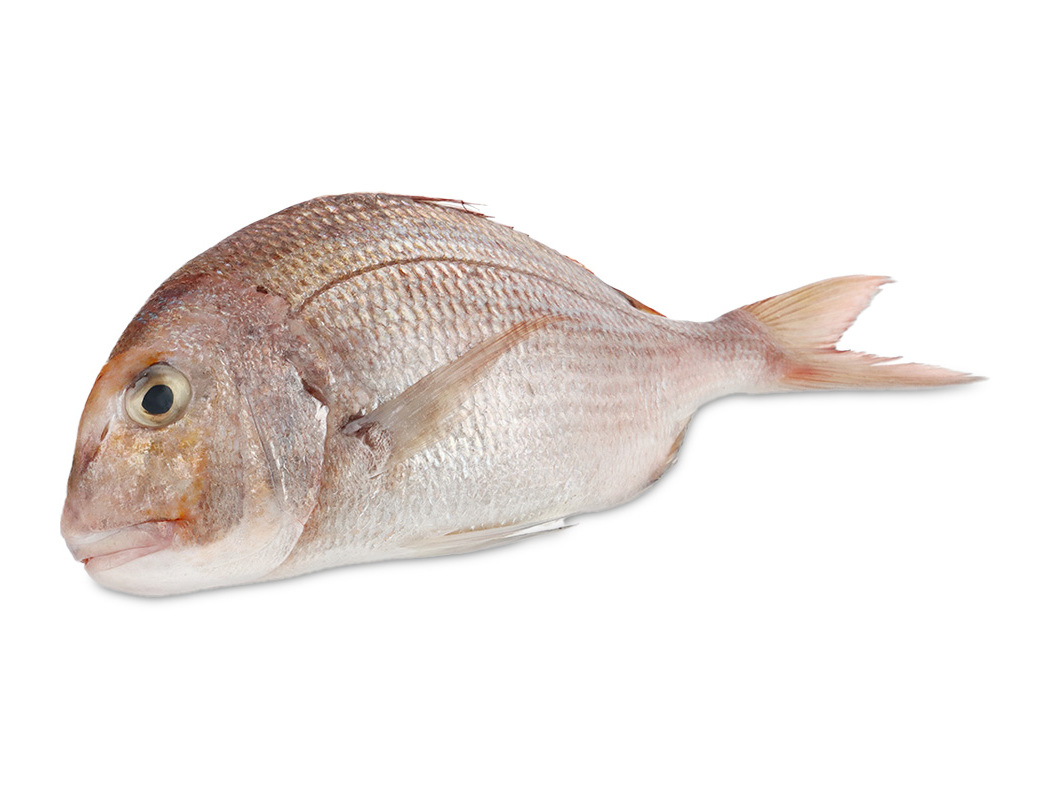 Pargo grande kg