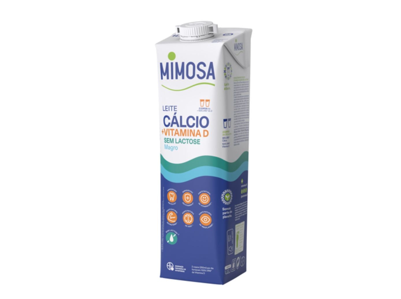 Leite s/ lactose mimosa magro 1 l