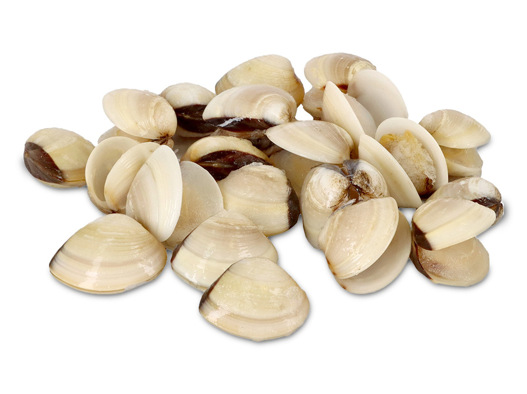 Ameijoa vietnamita congelada kg