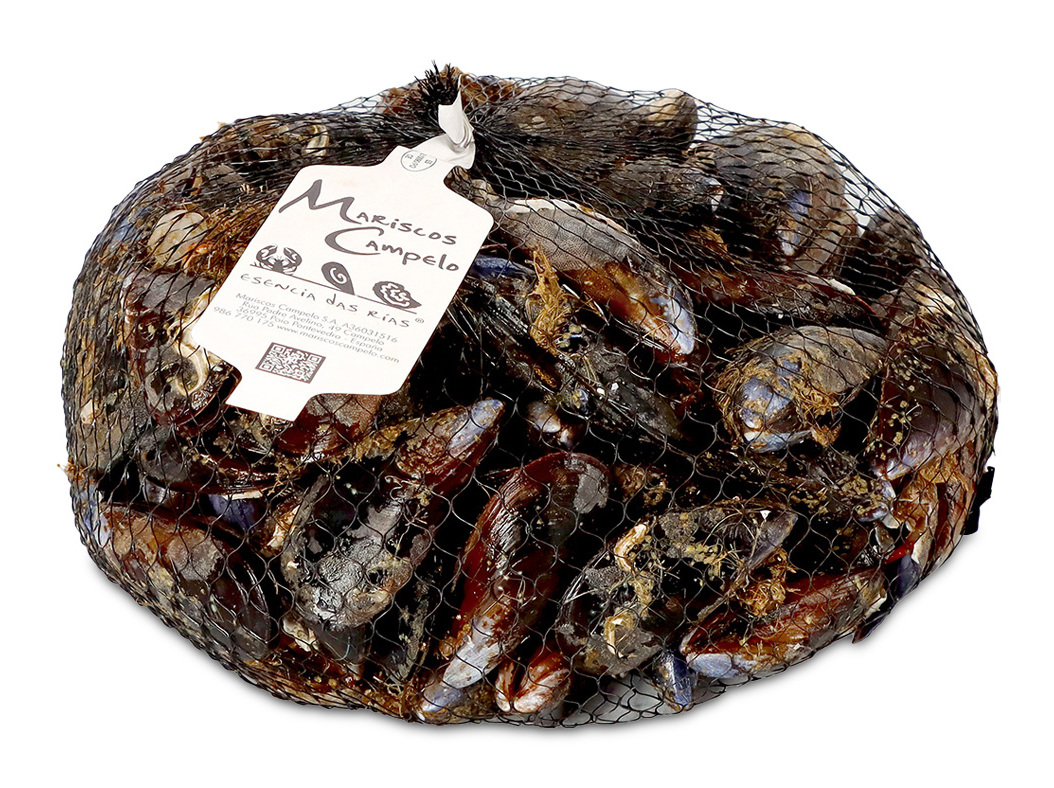 Mexilhão 1kg