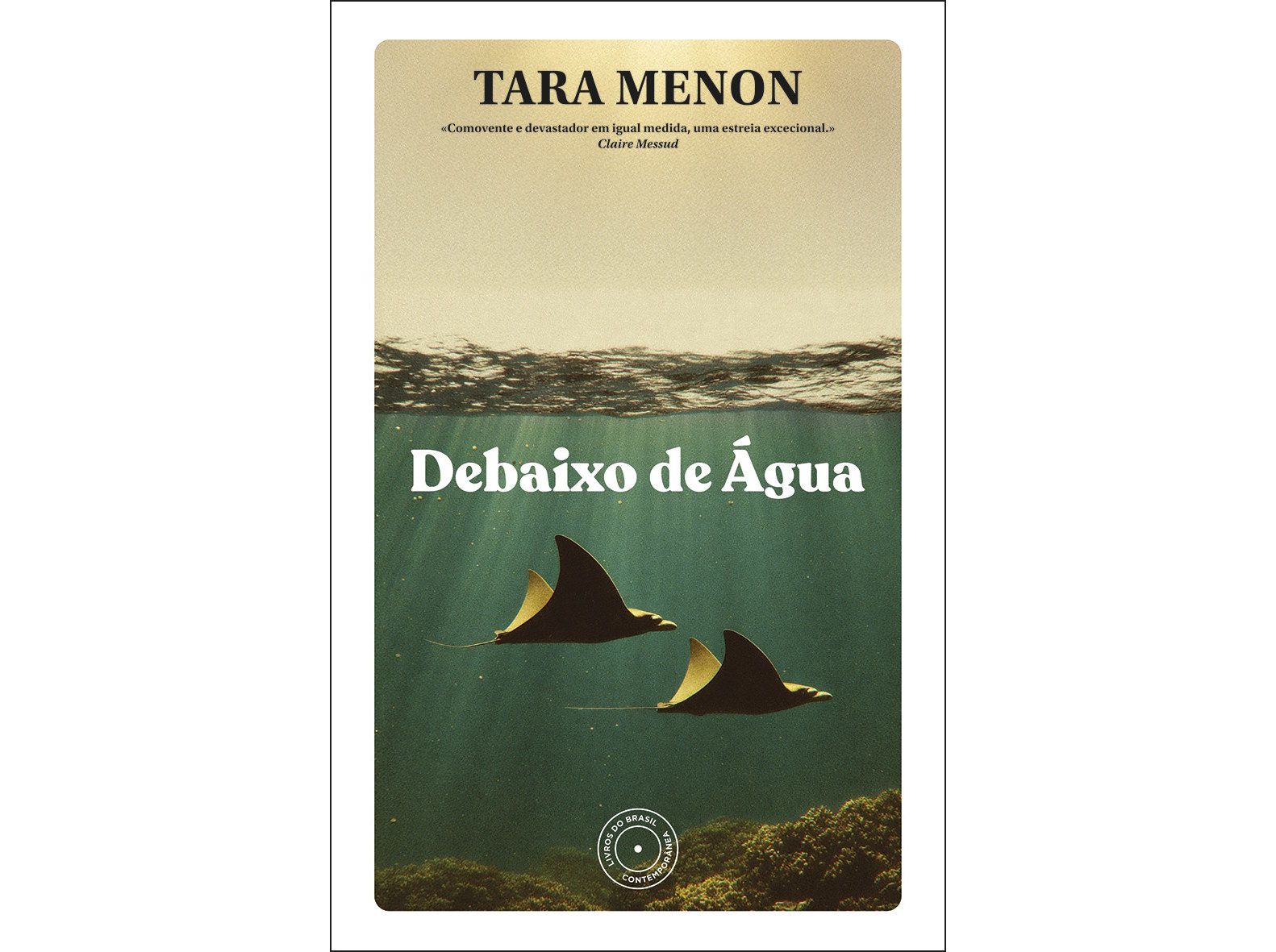Livro debaixo de água de tara menon