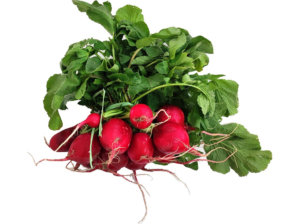 Rabanete Kg Auchan rabanete-kg-auchan