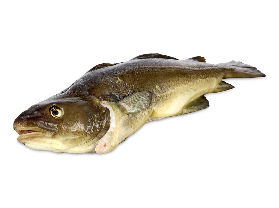 Bacalhau Fresco Kg Auchan