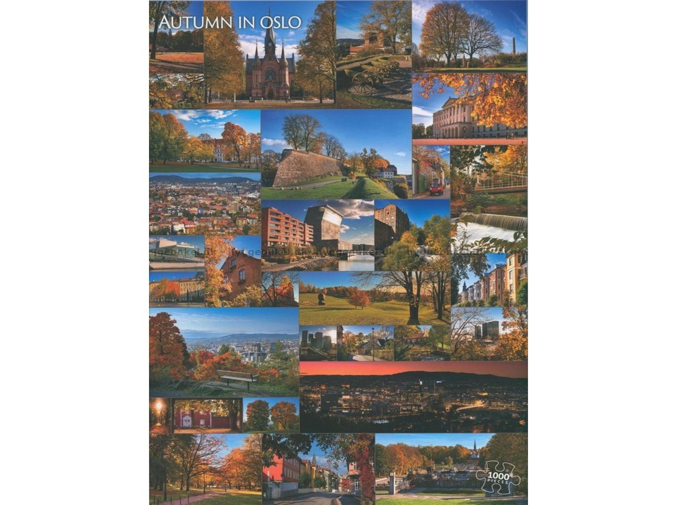 Puzzle Outono Oslo Vennerod 1000 Peças