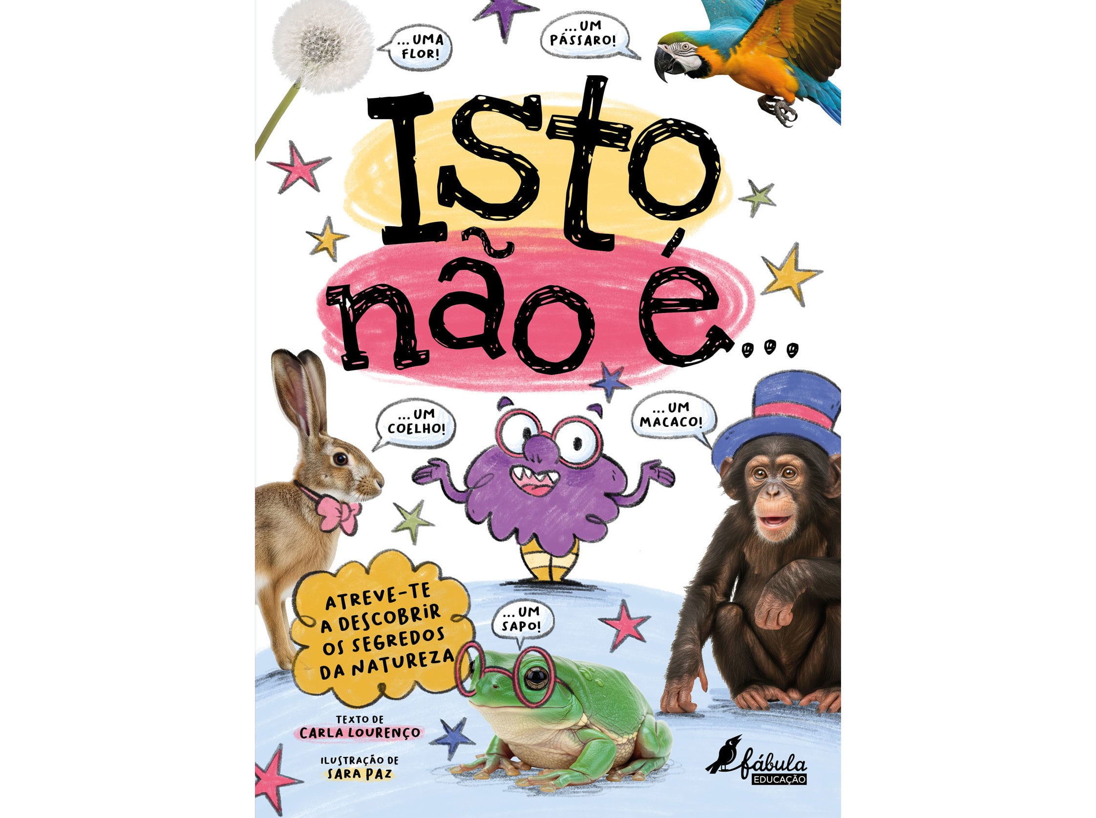 Livro isto não é... de carla lourenço