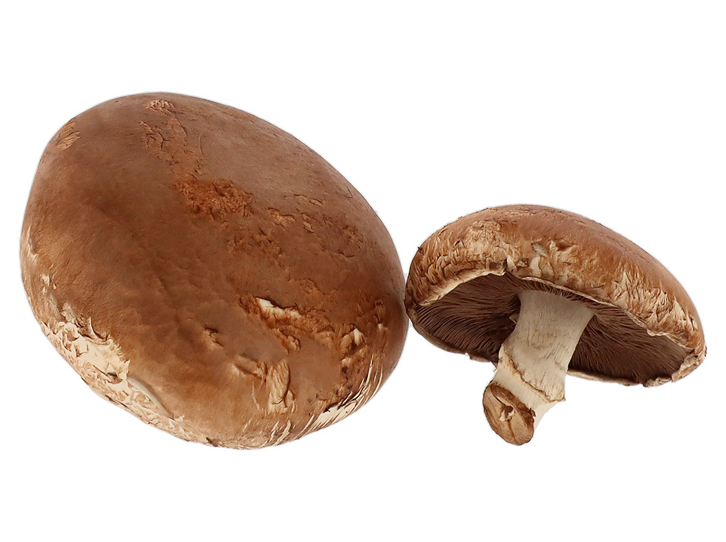 Cogumelos portobello kg