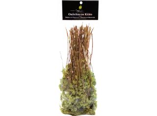 Oregãos campos santos em ramo 50g