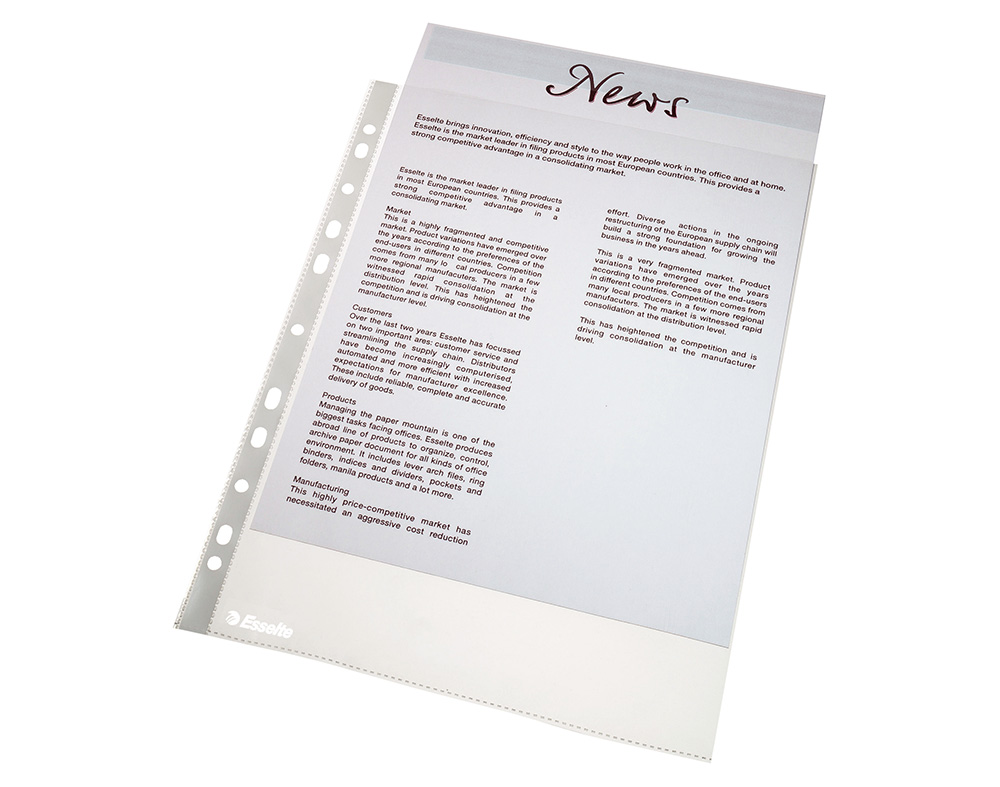 Bolsa catálogo a4 esselte 25 unidades