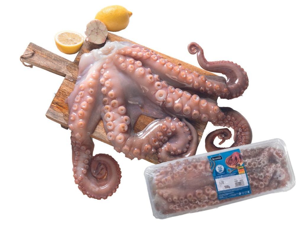 Polvo grande metade brasmar congelado (1.5 a 3 kg)