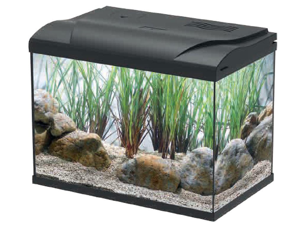 Aquário Em Kit Aquaseries Peixes Água Fria 40x23x32cm 21l
