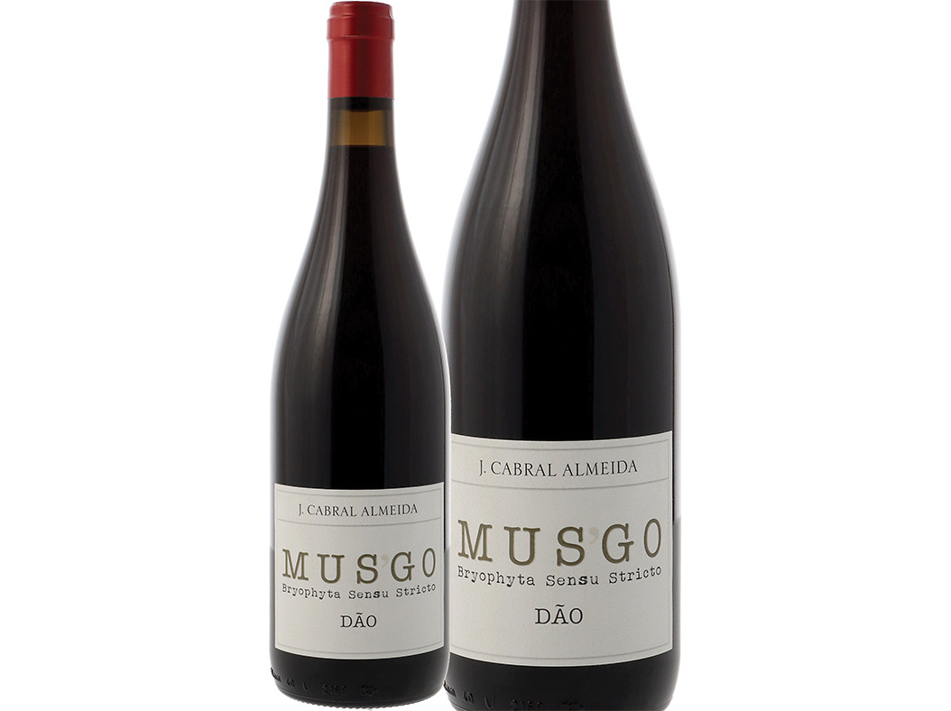 Vinho Tinto Musgo Dão 0.75 L Musgo