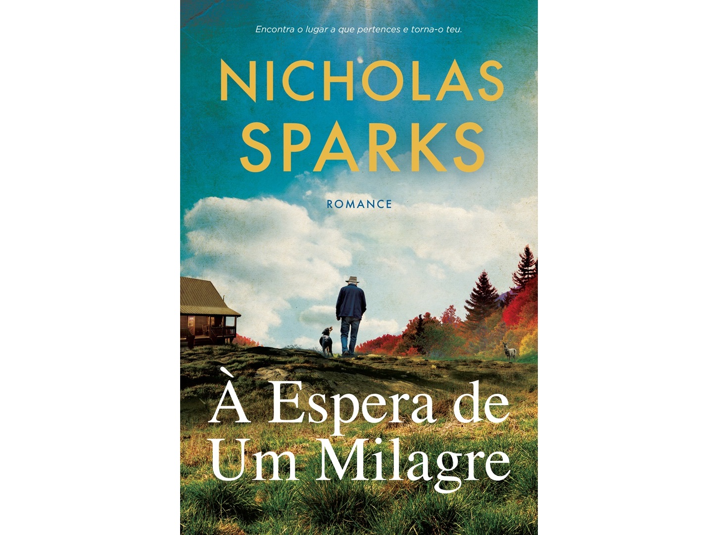 AUCHAN - Livro À Espera De Um Milagre De: Nicholas Sparks Livro À Espera De Um Milagre De: Nicholas Sparks