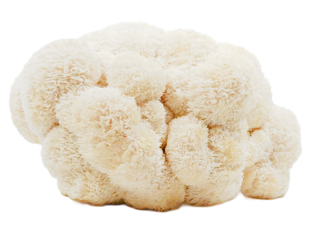 Cogumelo Juba De Leão (l) 200g Auchan