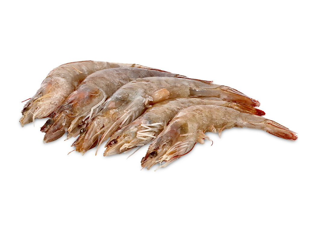 Camarão vannamei 60/80 cru congelado kg