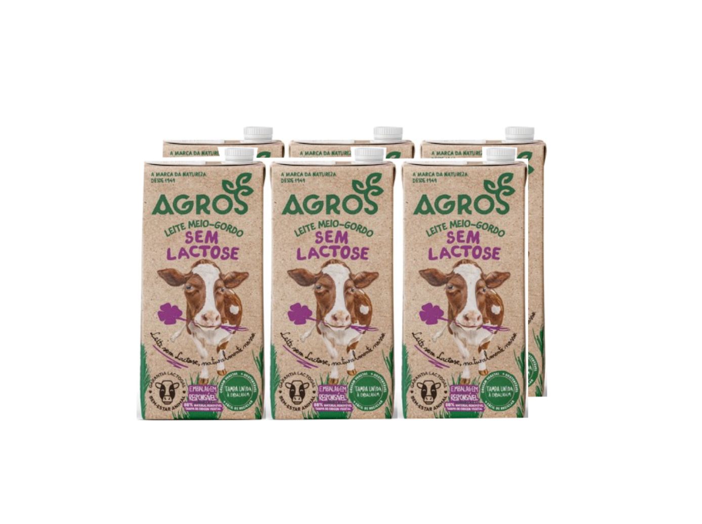 Leite Sem Lactose Agros 6x1l Agros